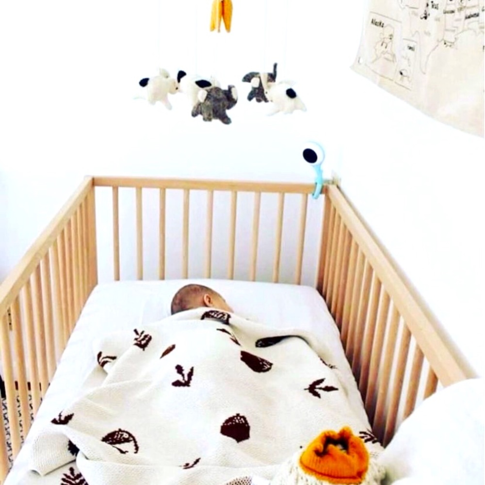 ISO Fin & Vince Acorn & Leaves blanket